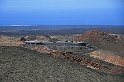 Kanary_2010 153